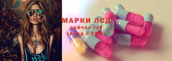 гидропоника Горнозаводск