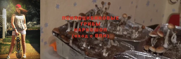 а пвп мука Горно-Алтайск