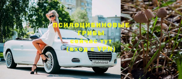молекула духа Горняк