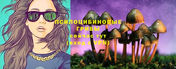 а пвп мука Горно-Алтайск