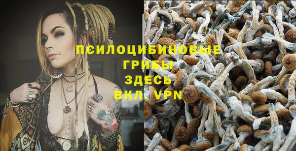 молекула духа Горняк